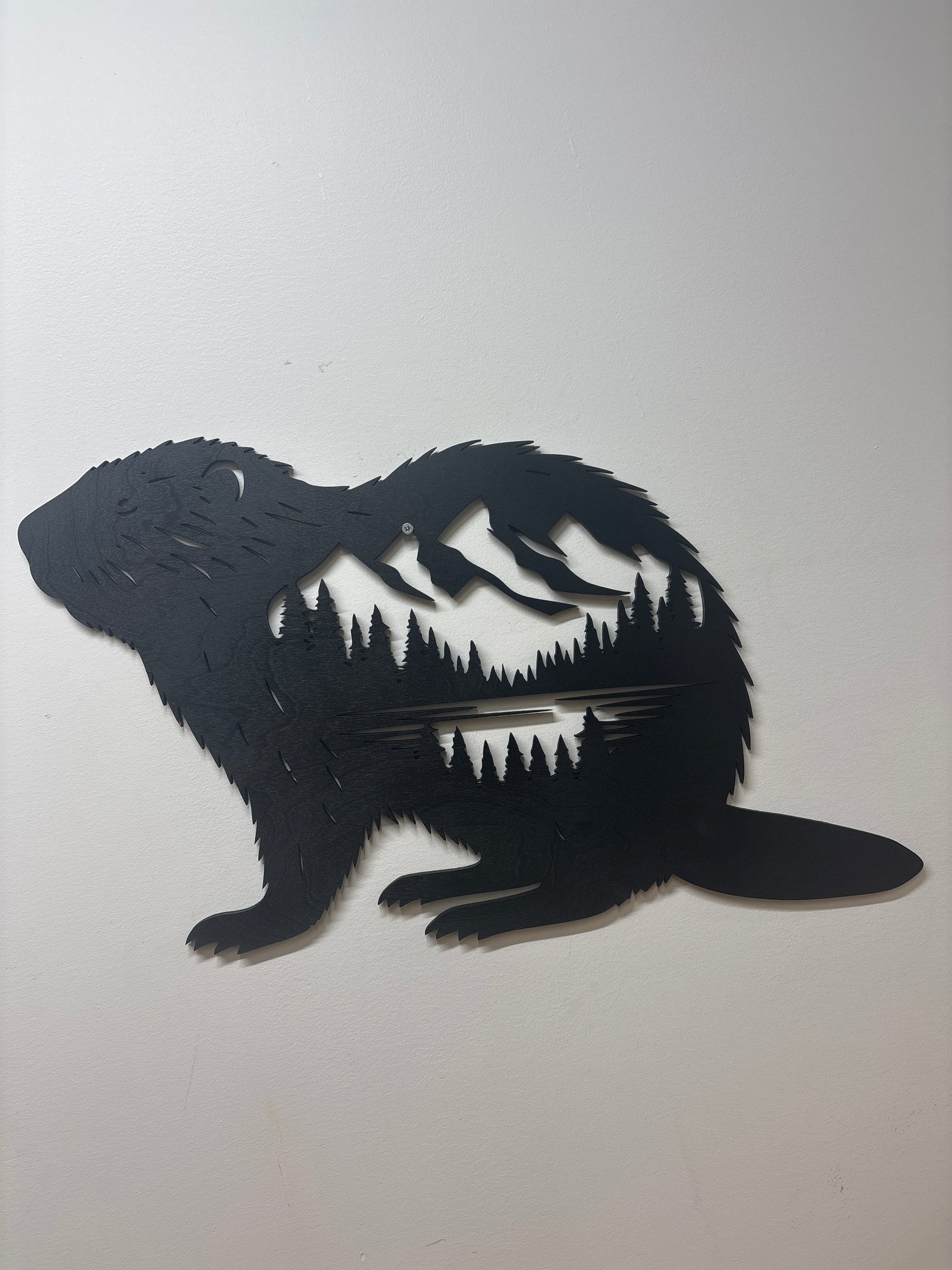 Beaver Mountain Scene