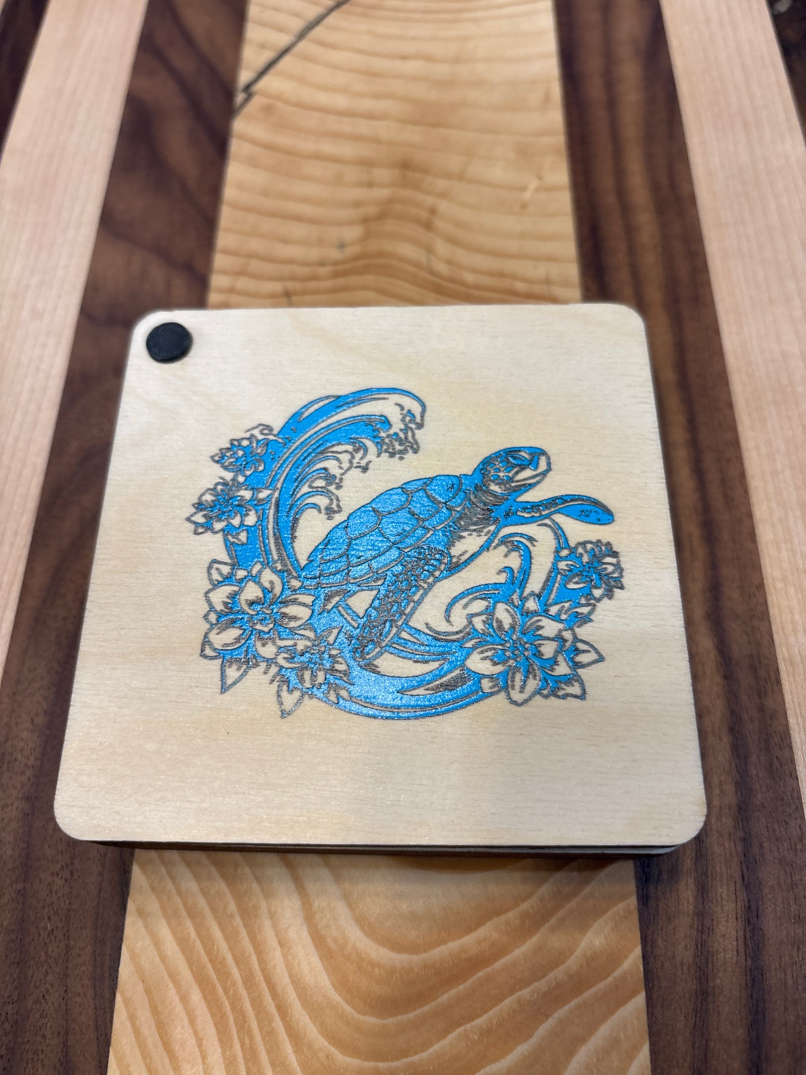 Turtle Coaster Set