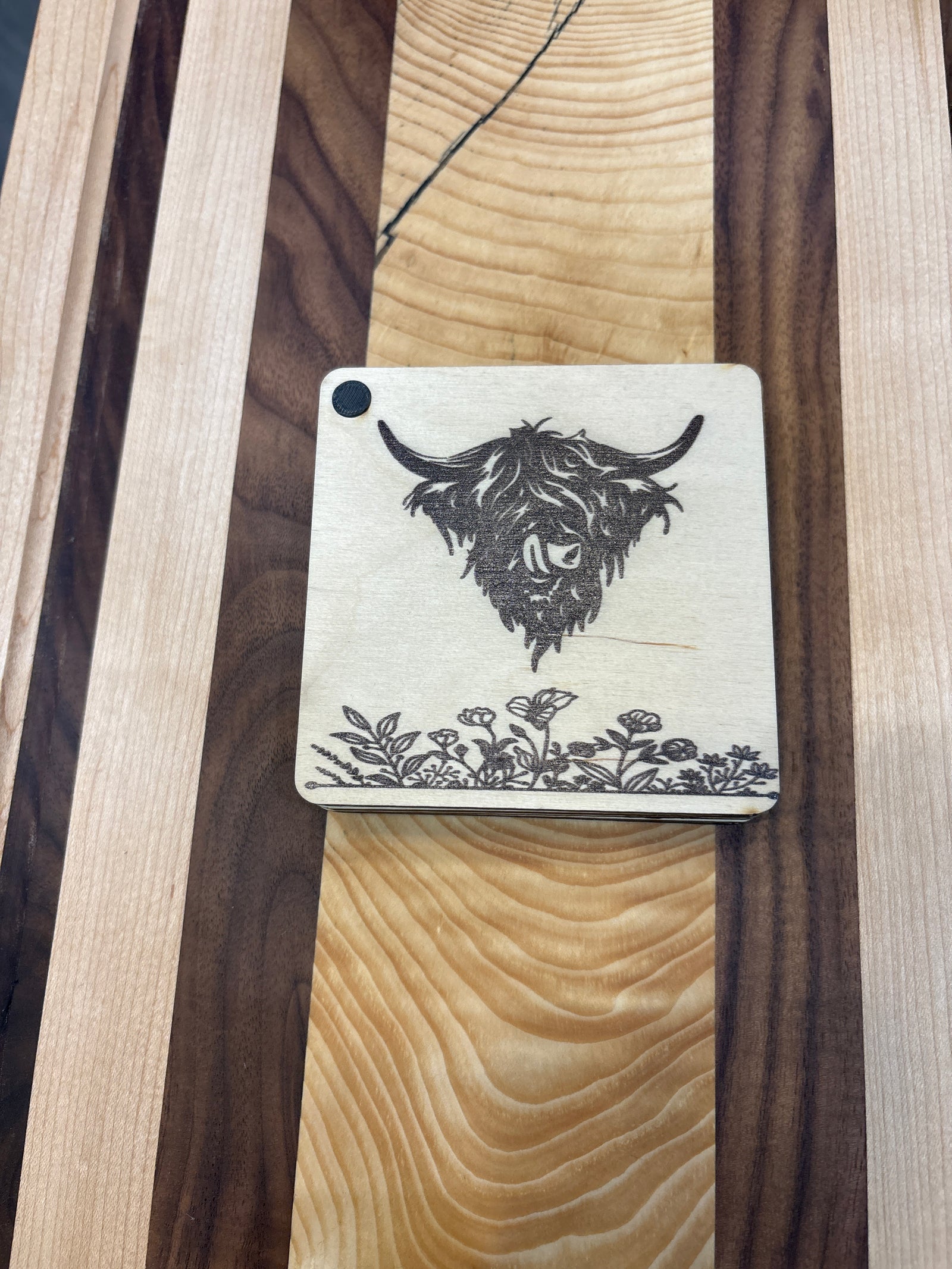 Highland Cow Coaster Set