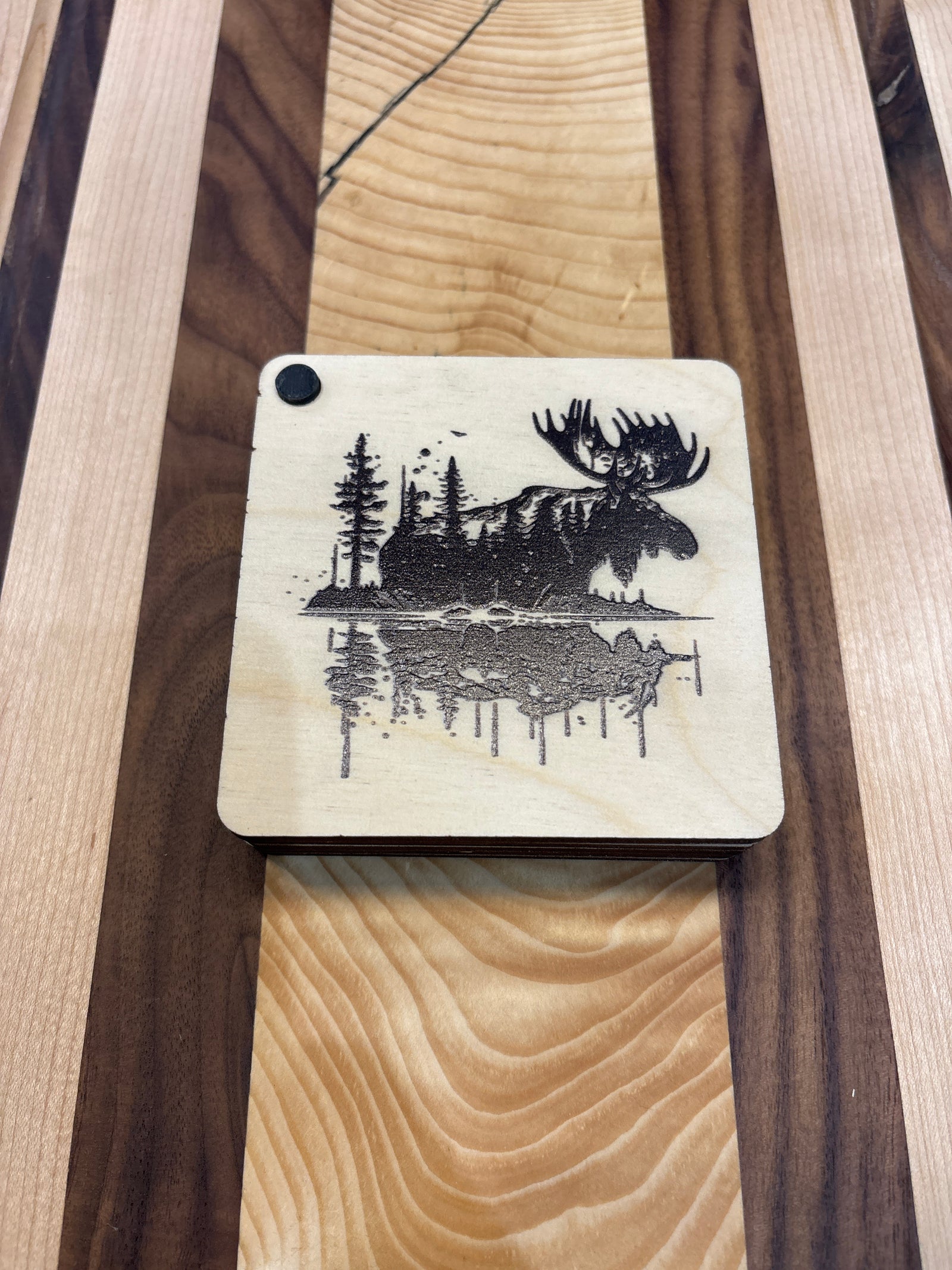Moose Coaster Set