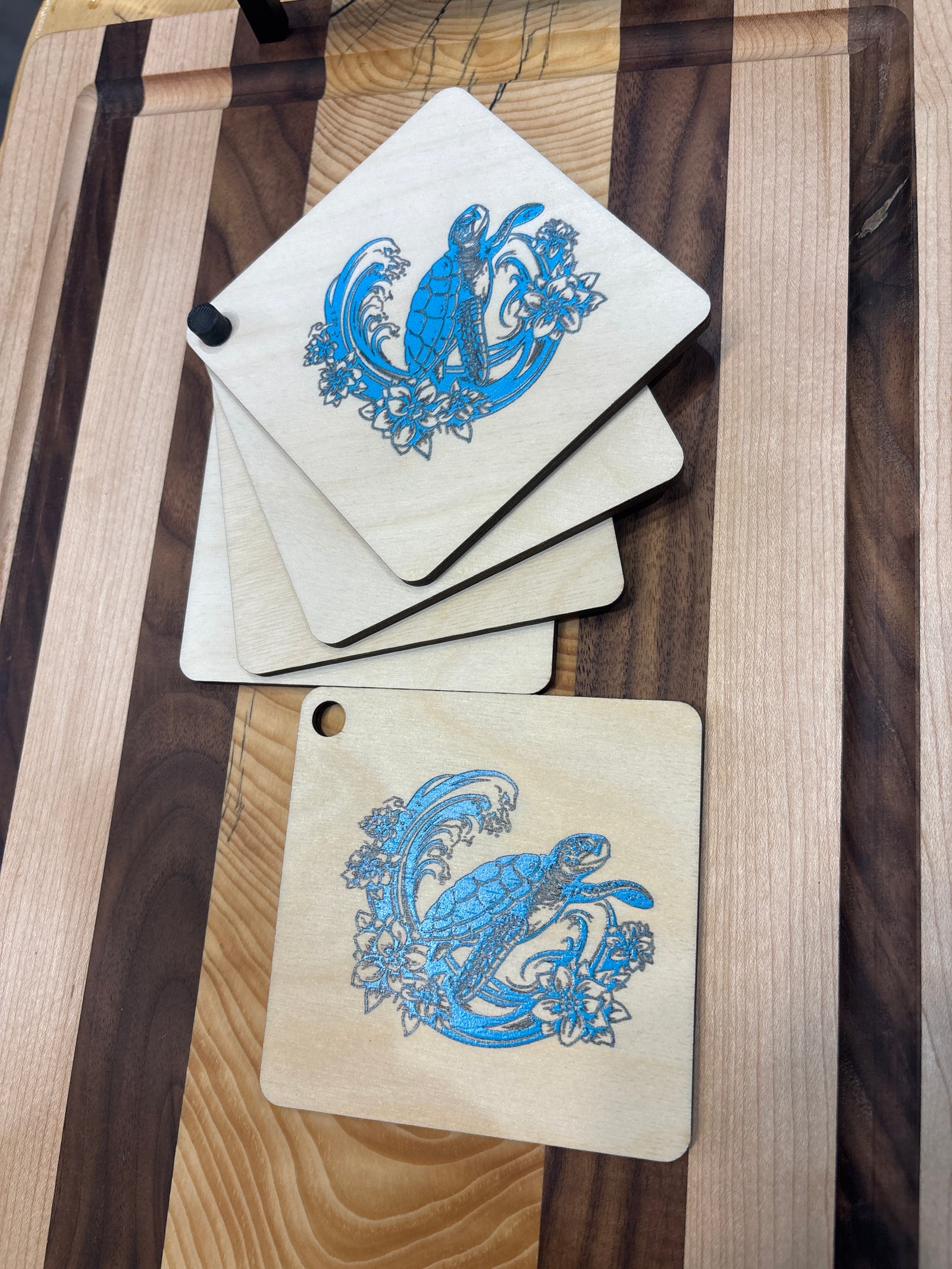 Turtle Coaster Set