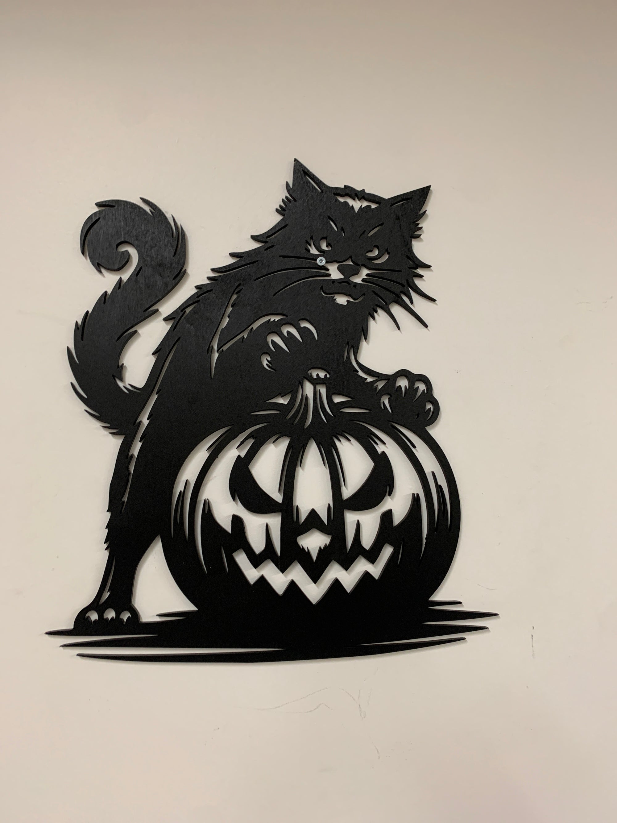 Cat on Pumpkin