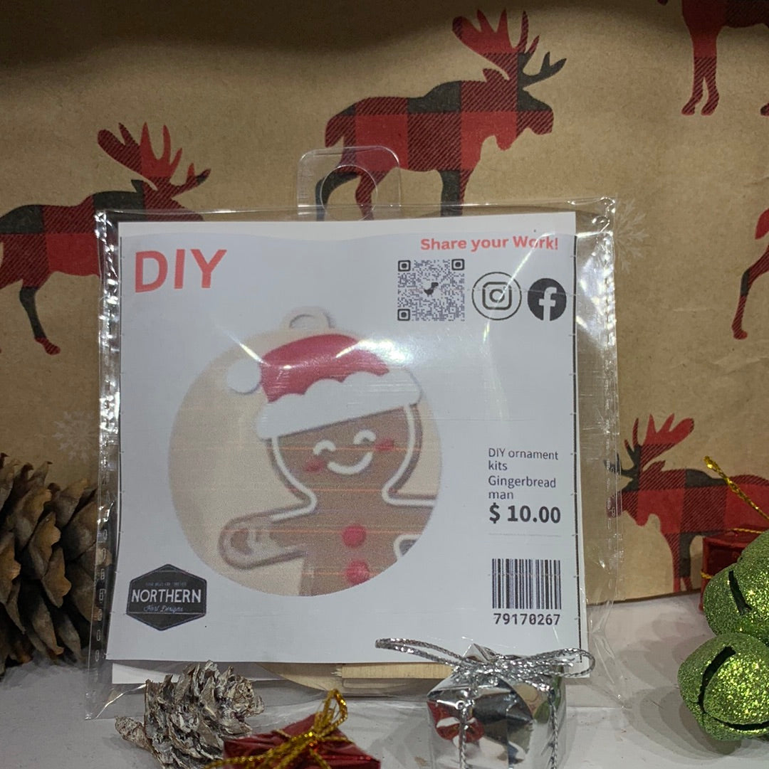 DIY ornament kits