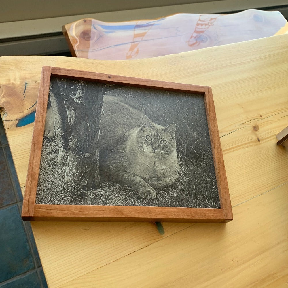 Photo-engraving-cat
