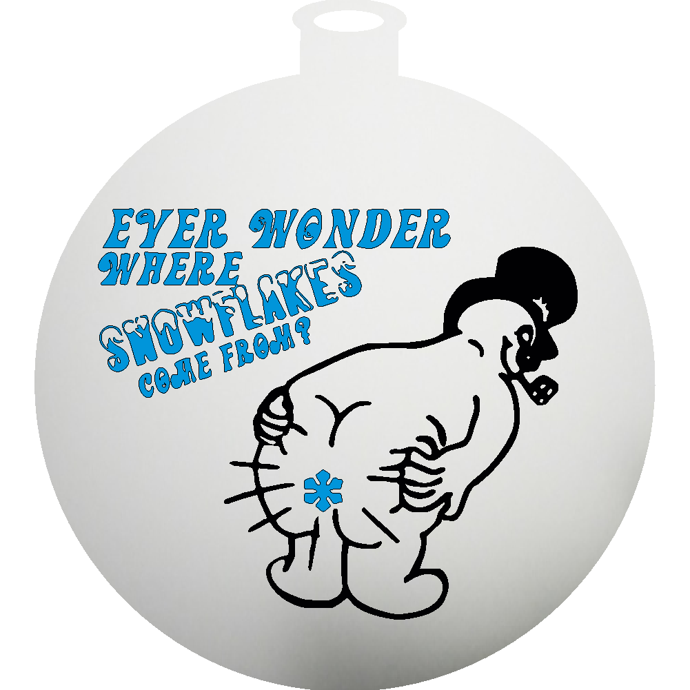 Ever Wonder Where Snowflakes Come From Ornament